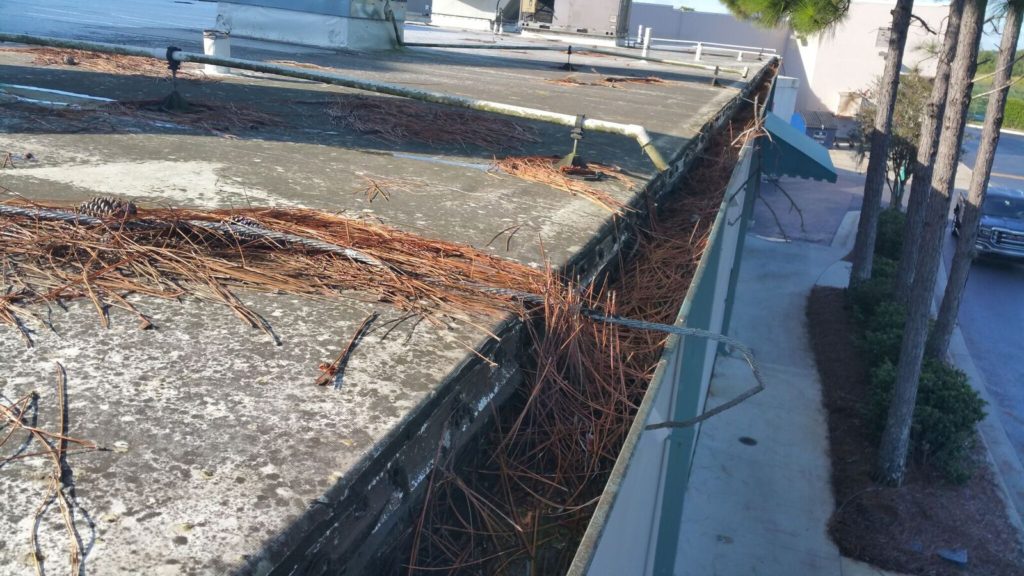 Don't damage a roof with loose debris on your roof or in your gutters