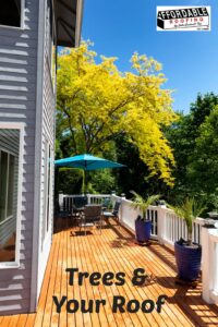 Trees have some pros and cons when it comes to your home and roof