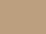 Chamois Tan SemCoat Plus 45 Chamois Tan Finish Metal by Affordable Roofing