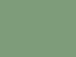 Patina Green Patina Green Finish Metal by Affordable Roofing